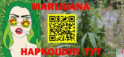 apvp Нальчик