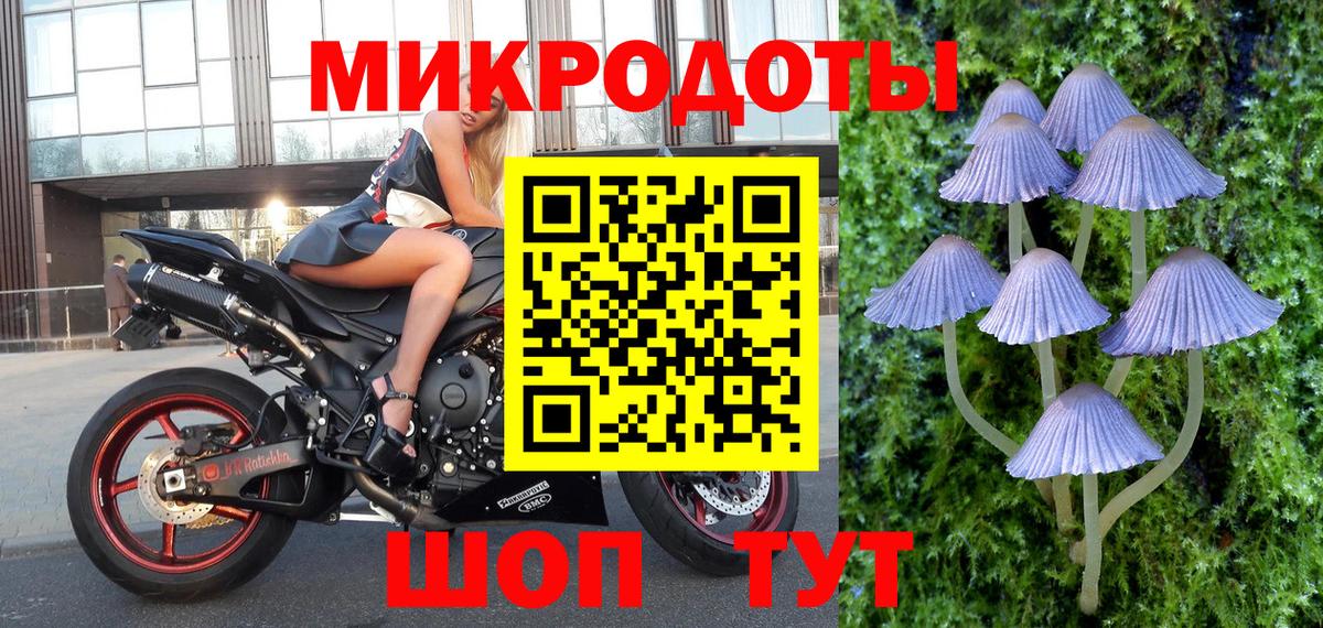 Улан-Удэ  Псилоцибиновые грибы прущие грибы  Вход с VPN 